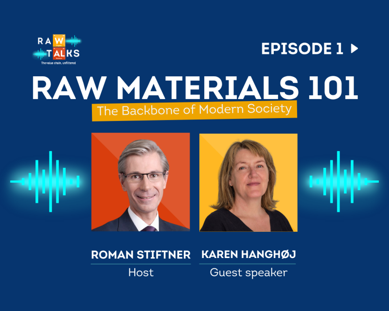 Raw Materials 101: The backbone of modern society